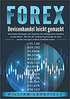 Die besten Forex-Strategien der Experten für erfolgreiches Handeln an der Börse